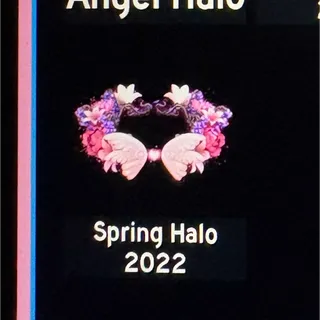spring halo 2022