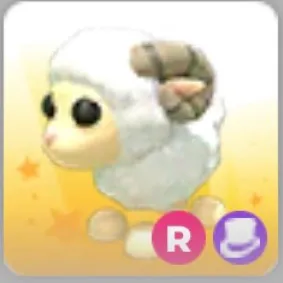 R RAM