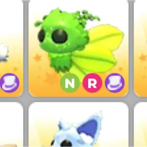 NR GAELIC FAE