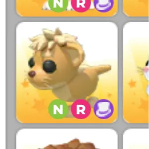 NR LION CUB