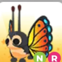 NR MIRAI MOTH