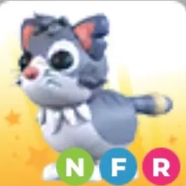 NFR ALLEY CAT