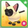 R SIAMESE CAT