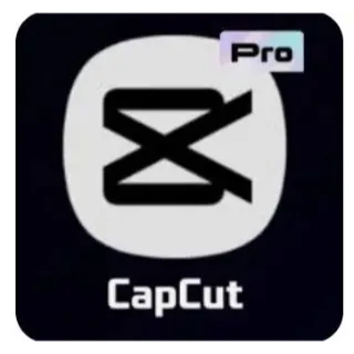 Capcut pro  1 year 