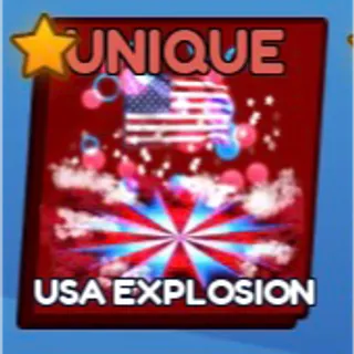 USA EXPLOSION