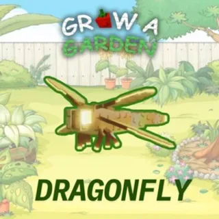 GAG Dragonfly