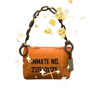 Prison Purse