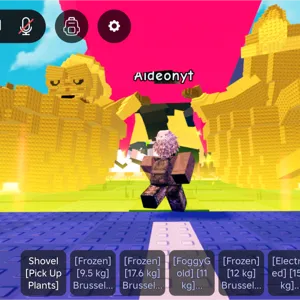 2 14 kg + LIMITEDS OP