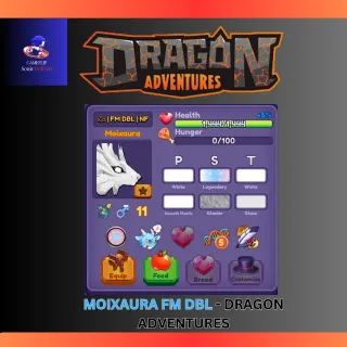 dragon adventures