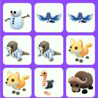 Pet Bundle