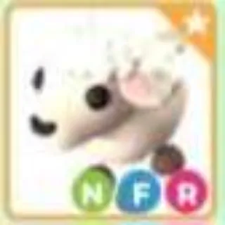 NFR Lamb