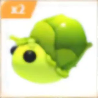 2x Sprout Snail