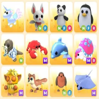 Pet Bundle