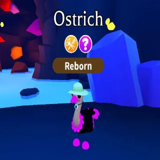 Neon Ostrich