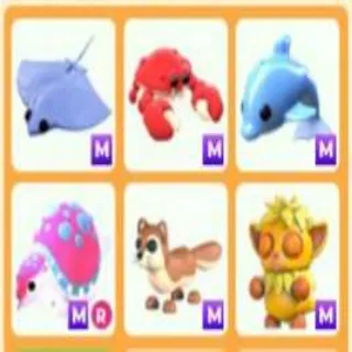 Mega Pet Bundle