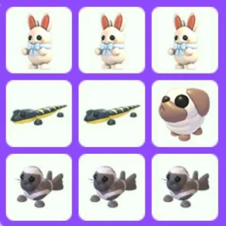 Pet Bundle