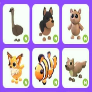 Neon Pet Bundle Cheap