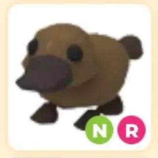 Neon Platypus