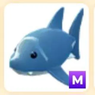 Mega Shark