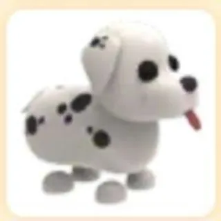 Dalmatian