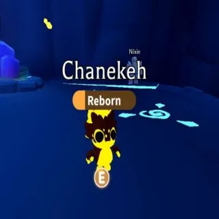 3x Neon Pet Bundle