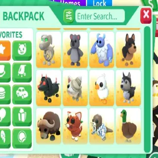 16x Out Of Game Pets