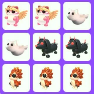 Rare Pet Bundle