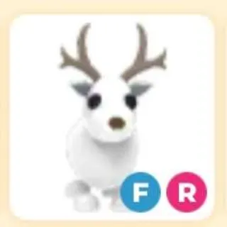 FR Arctic Reindeer