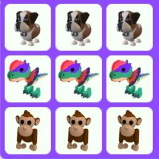Rare Pet Bundle