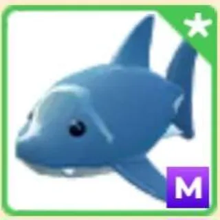 Mega Shark