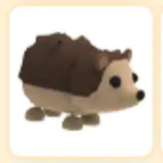 Hedgehog