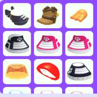 10x Shoes Pet Wear Bundle