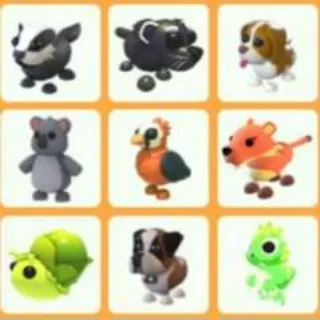 Ultra-Rare Pet Bundle