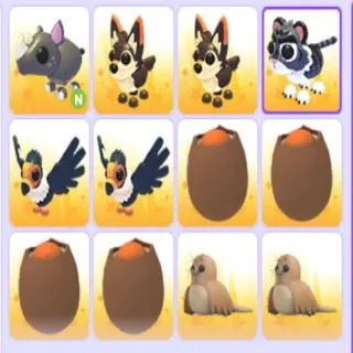 Pet Bundle