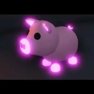 Pig N