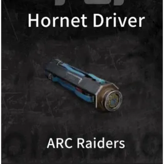 Hornet Driver*5 ARC Raiders