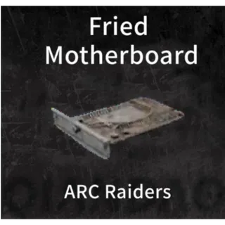 Fried Motherboard*3 ARC Raiders