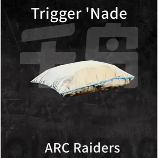 Very Comfortable Pillow*3 ARC Raiders