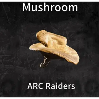 🟢Mushroom*12 ARC Raiders
