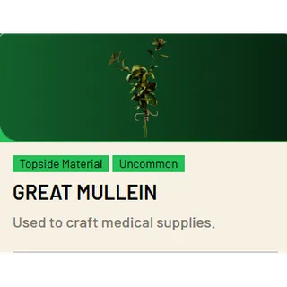 🟢Great Mullein*30 ARC Raiders