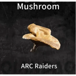 Mushroom*20 ARC Raiders