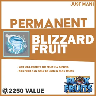 Blox Fruits Permanent Blizzard Fruit