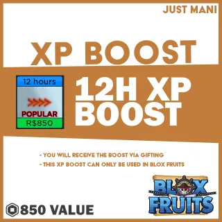 Blox Fruits 2x XP Boost