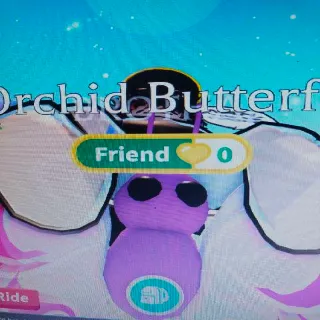 ORCHID BUTTERFLY RIDE