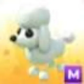 MEGA POODLE