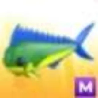 MEGA MAHI MAHI