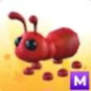 MEGA ANT