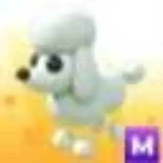 MEGA POODLE