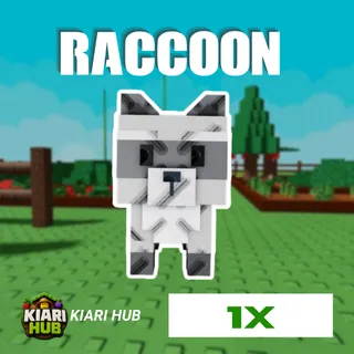 1x Raccoon | GAG 2