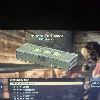 5x Endurance Mod.